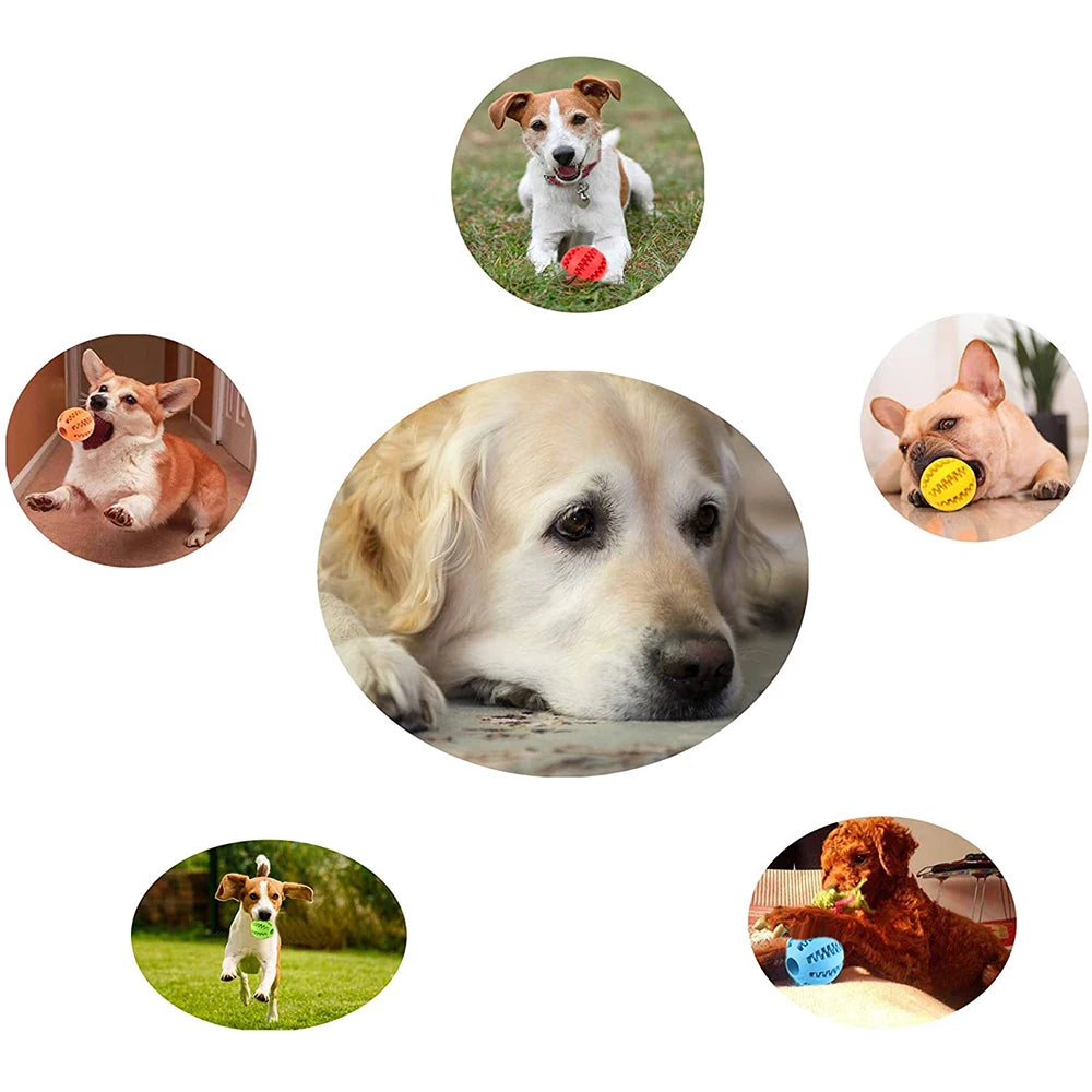 Pet Dog Toy Rubber Dog Ball For Puppy Funny Dog Toys For Pet Puppies Large Dogs Tooth Cleaning Snack Ball Toy For Pet Products