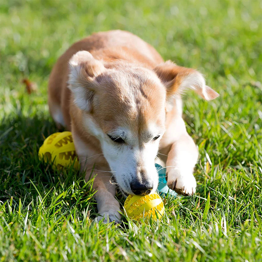 Pet Dog Toy Rubber Dog Ball For Puppy Funny Dog Toys For Pet Puppies Large Dogs Tooth Cleaning Snack Ball Toy For Pet Products